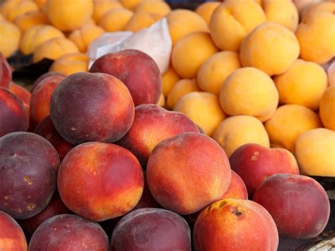 sweetest peach|Peach Varieties Guide